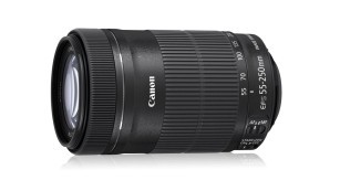 Canon EF-S 55-250mm 1:4-5,6 IS STM: Telezoom-Objektiv mit leisem Motor